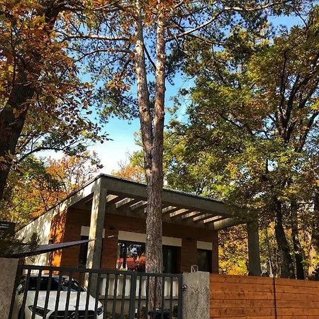 Pine-wood