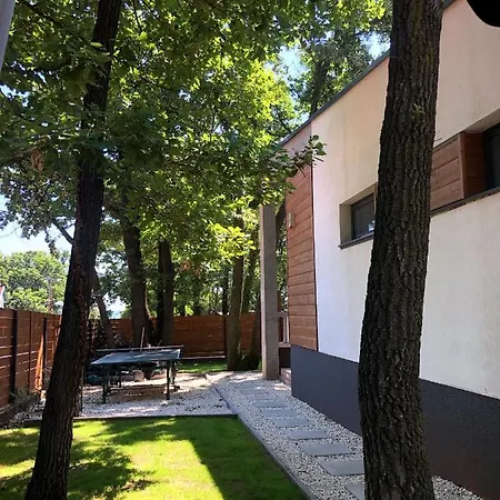 Pine-wood Villa Balatonalmadi