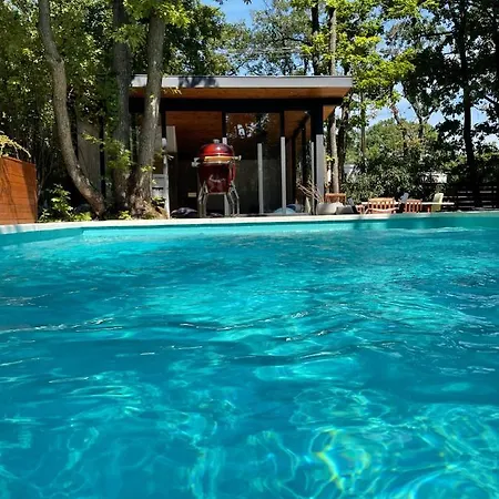 Villa Pine-wood *