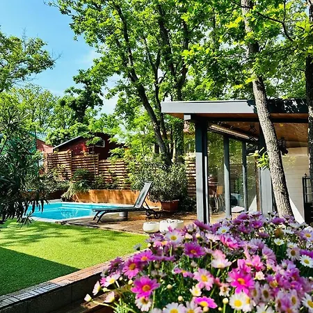 Villa Pine-wood *